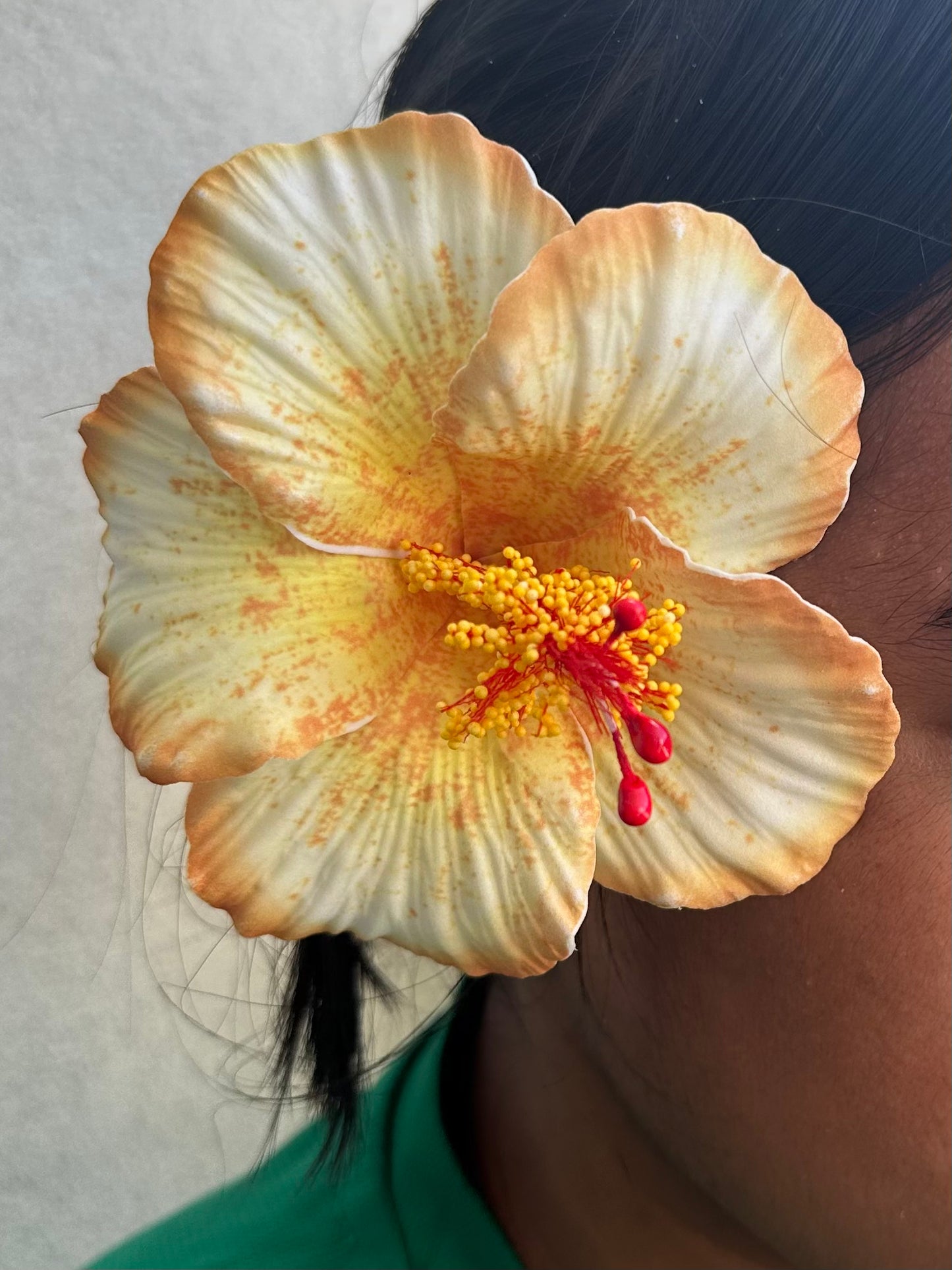 Hibiscus