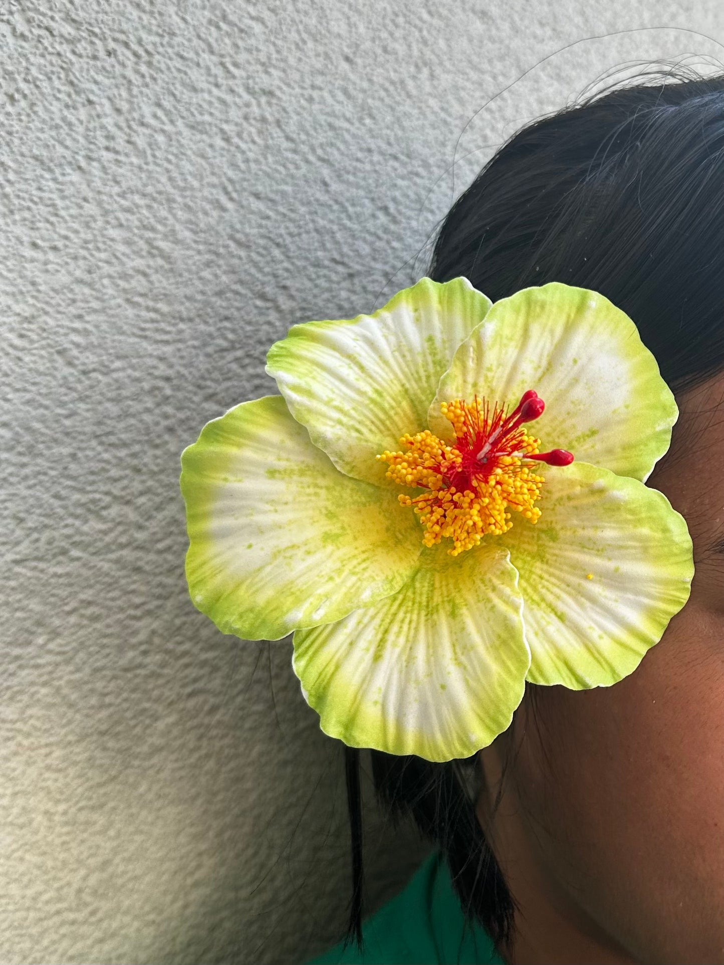 Hibiscus