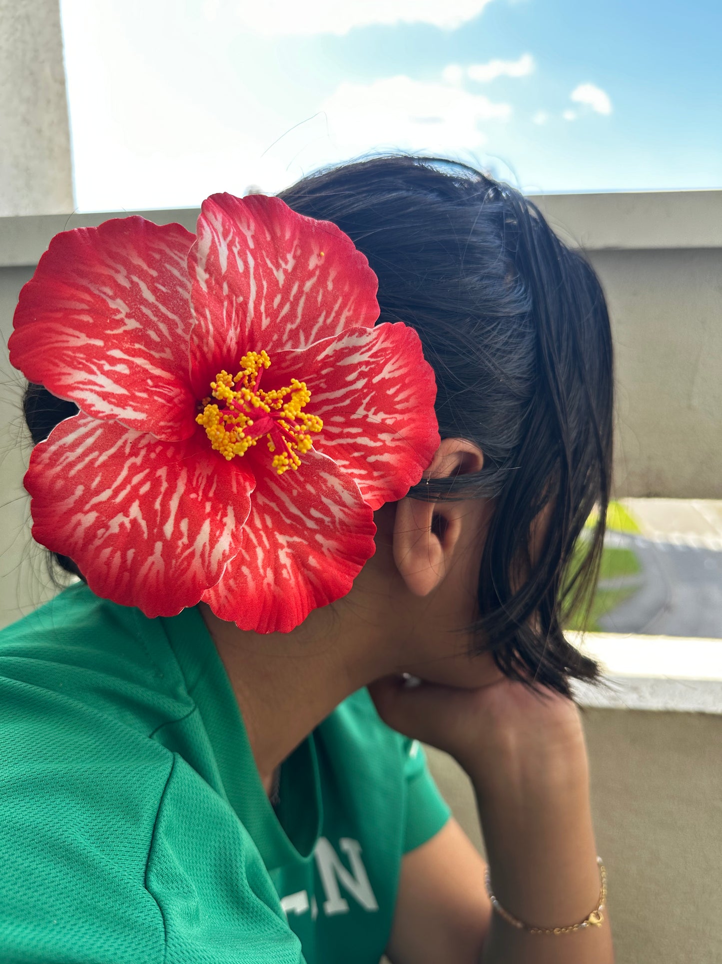 Hibiscus